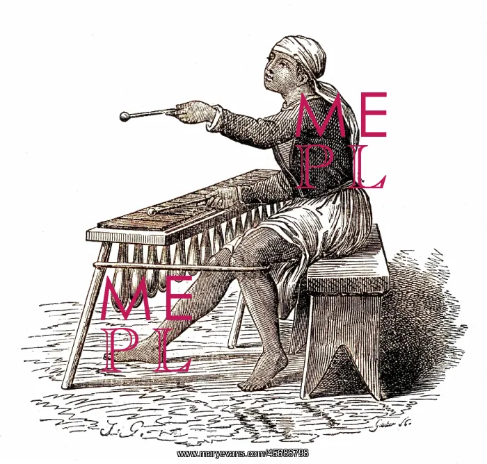 : Central american music: the marimba : Central american music: the marimba