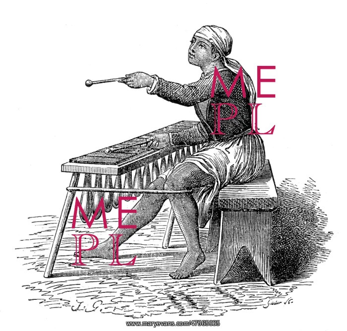 : Central american music: the marimba : Central american music: the marimba