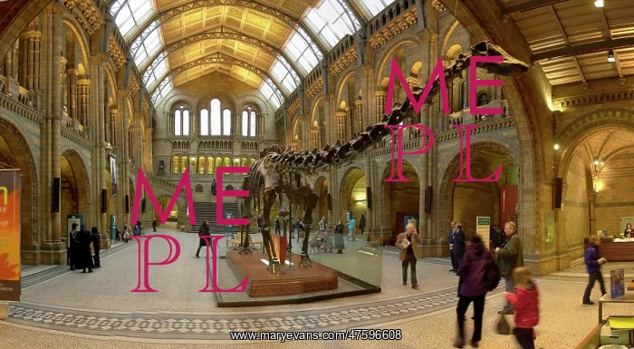 : Central Hall : Central Hall