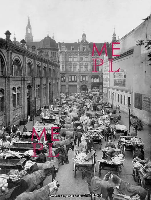 : The Central Market Hall in Berlin, 1907 : The Central Market Hall in Berlin, 1907