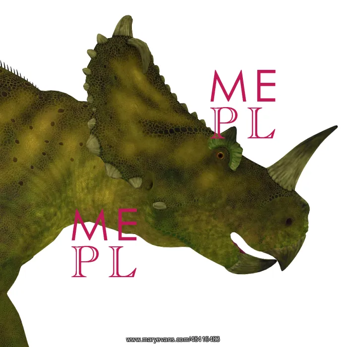 : Centrosaurus dinosaur head : Centrosaurus dinosaur head