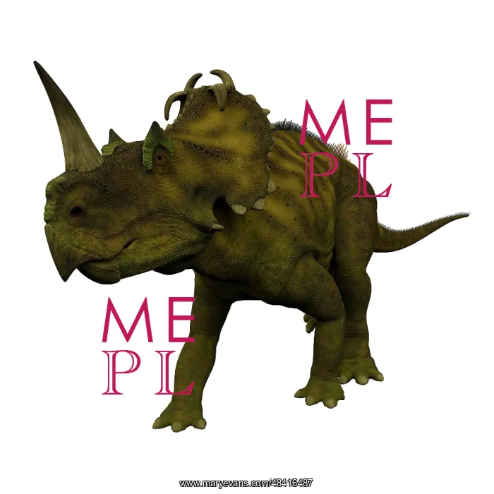 : Centrosaurus dinosaur, front view : Centrosaurus dinosaur, front view