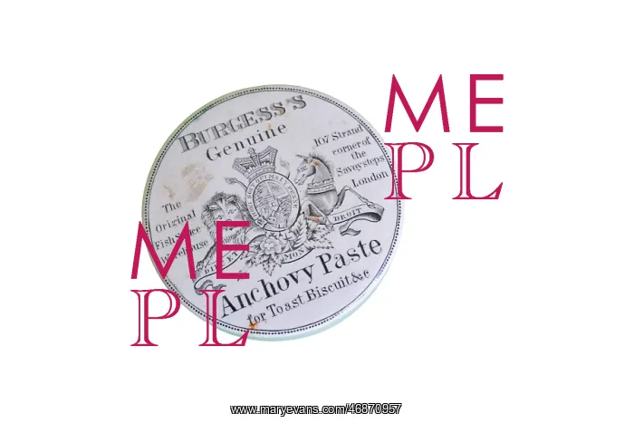 : Ceramic anchovy paste pot lid : Ceramic anchovy paste pot lid