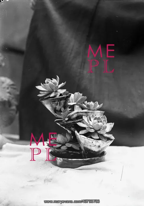  : Ceramic cacti