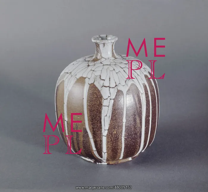 : Ceramic vase : Ceramic vase