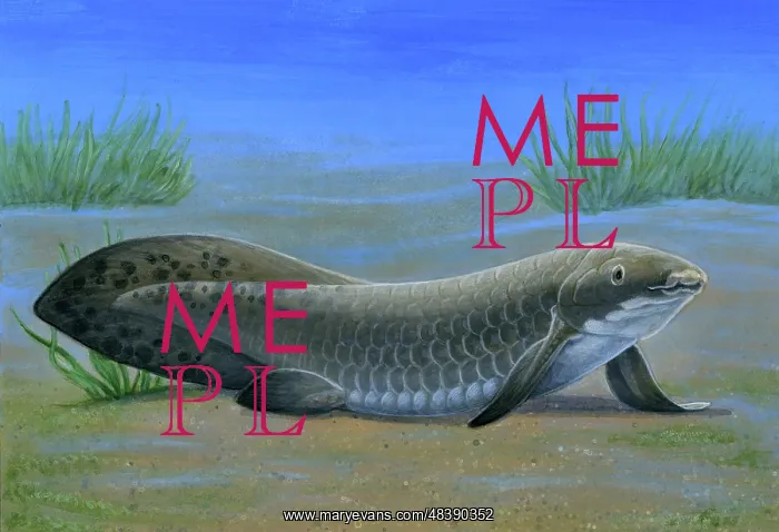 : Ceratodus, an ancient lungfish that lived during the ? : Ceratodus, an ancient lungfish that lived during the ?