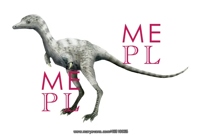 : Ceratonykus dinosaur : Ceratonykus dinosaur