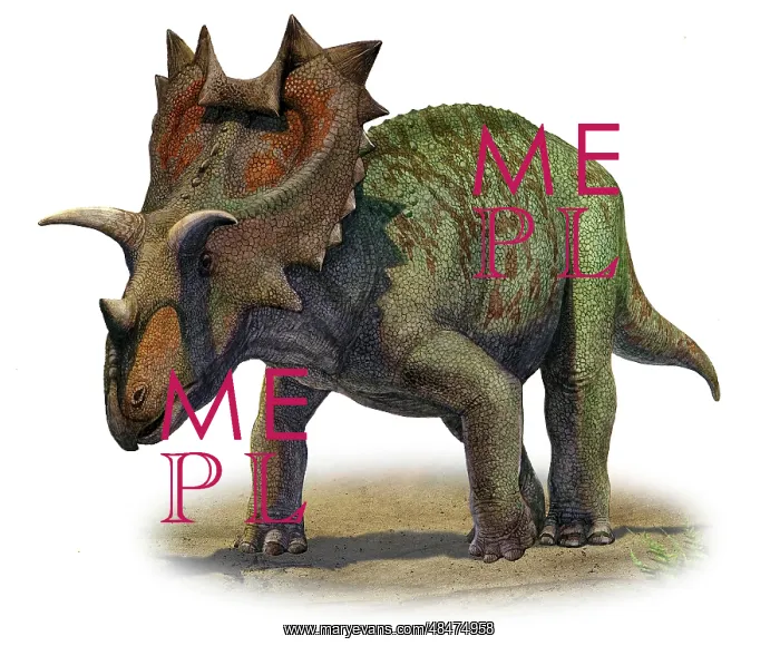 : Ceratops montanus, a prehistoric era dinosaur : Ceratops montanus, a prehistoric era dinosaur