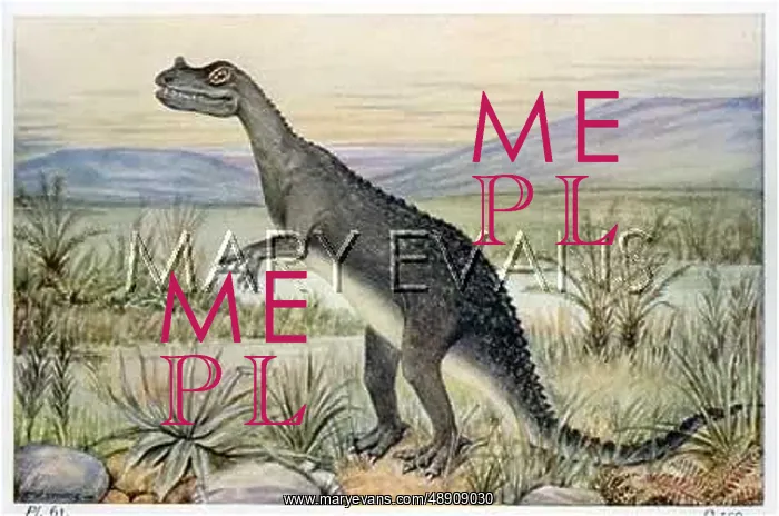 : CERATOSAURUS : CERATOSAURUS