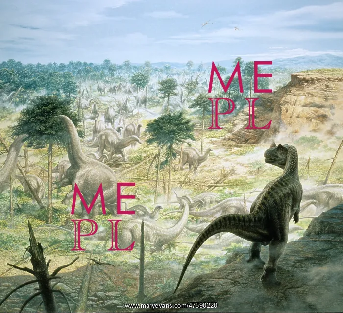 : Ceratosaurus & Apatosaurus : Ceratosaurus & Apatosaurus