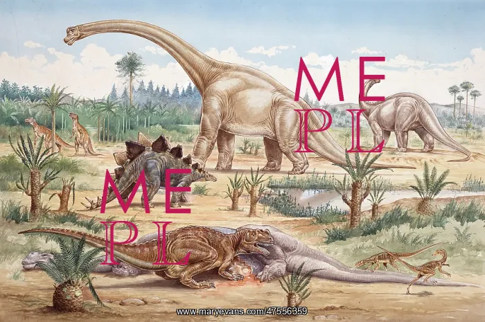 : Ceratosaurus, Coelurosaur, Camptosaurus, Stegosaurus, Brachio : Ceratosaurus, Coelurosaur, Camptosaurus, Stegosaurus, Brachio