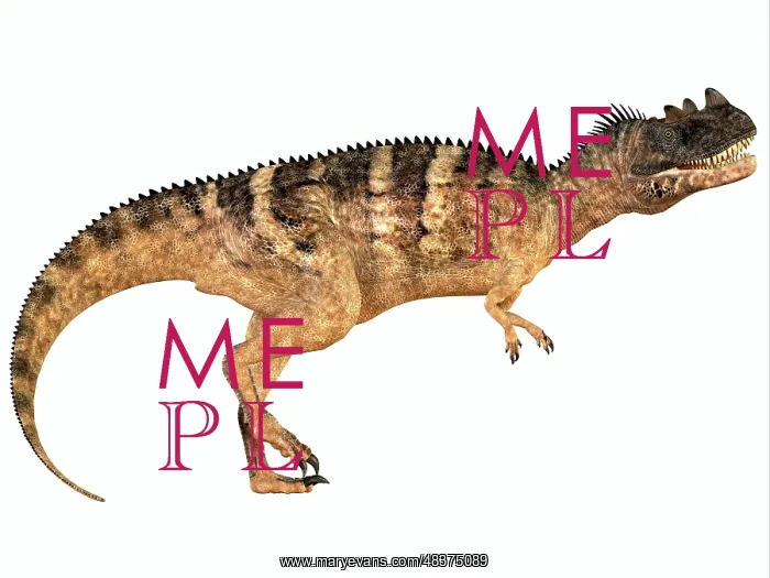  : Ceratosaurus dinosaur