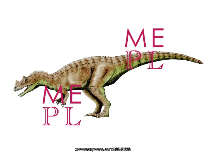  : Ceratosaurus dinosaur