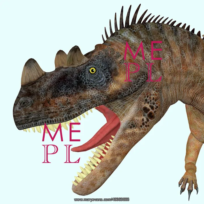 : Ceratosaurus dinosaur head : Ceratosaurus dinosaur head