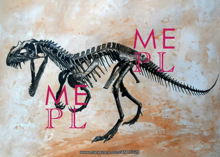 : Ceratosaurus dinosaur skeleton : Ceratosaurus dinosaur skeleton