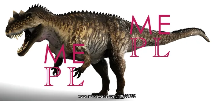 : Ceratosaurus dinosaur, side view on white background : Ceratosaurus dinosaur, side view on white background