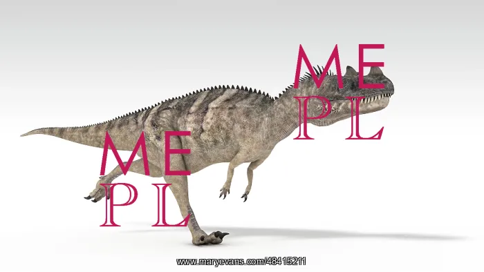  : Ceratosaurus dinosaur, white background