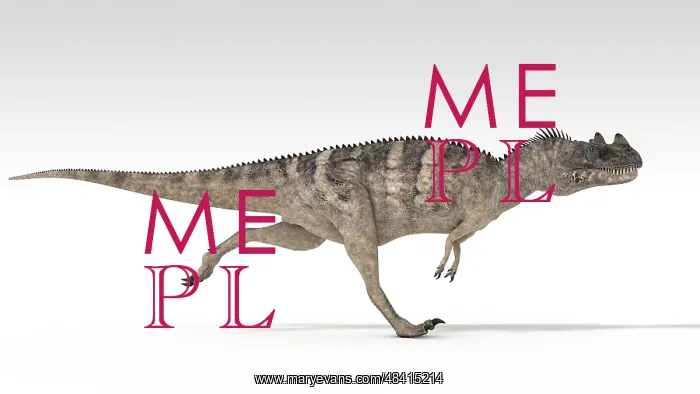  : Ceratosaurus dinosaur, white background