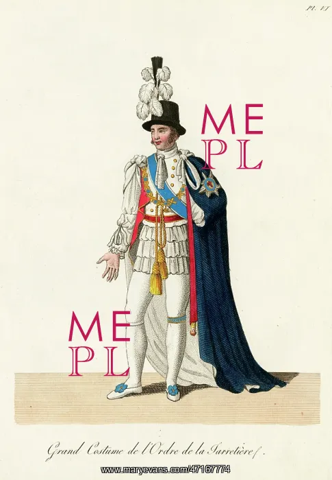  : Ceremonial costume: a knight of the garter