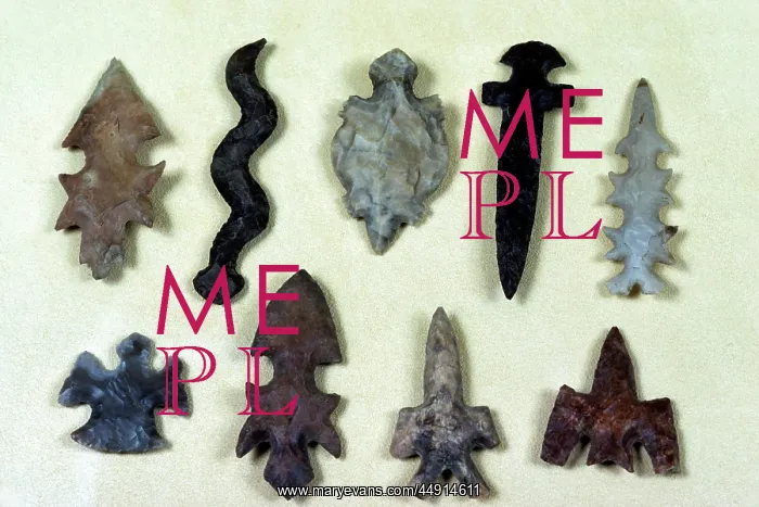 : Nine Ceremonial Flint Arrowheads : Nine Ceremonial Flint Arrowheads