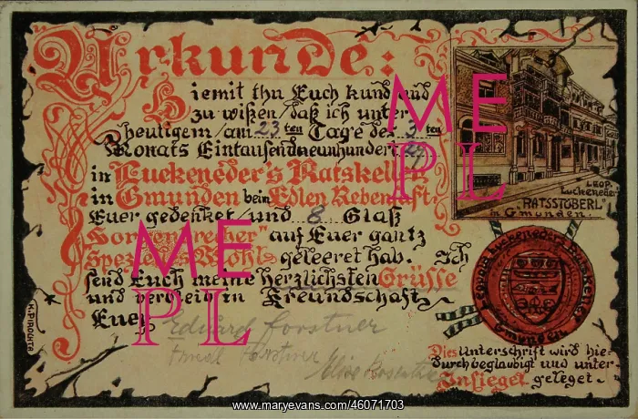 : Certificate of consumption in Luckeneder's Ratskeller : Certificate of consumption in Luckeneder's Ratskeller