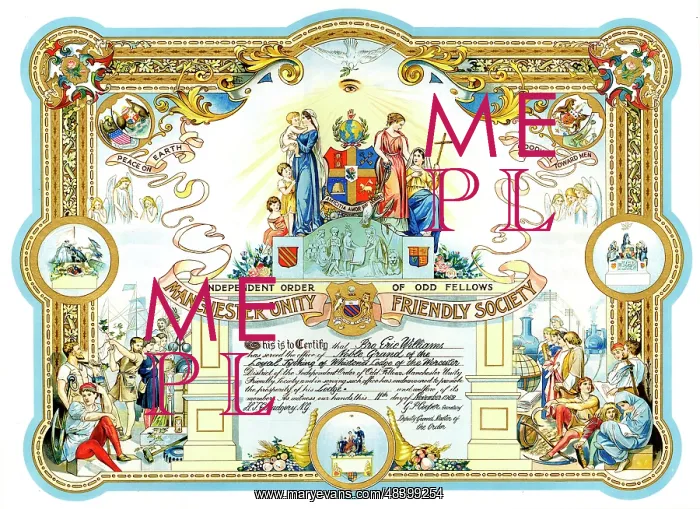 : Certificate, Independent Order of Odd Fellows : Certificate, Independent Order of Odd Fellows