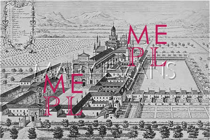 : CERTOSA DI PAVIA : CERTOSA DI PAVIA