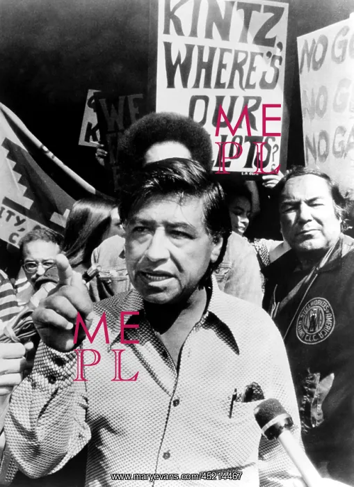 : Cesar Chavez in the fight for farm workers ? : Cesar Chavez in the fight for farm workers ?