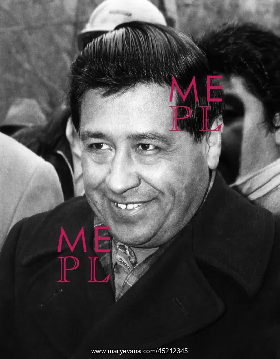  : Cesar Chavez, president of the United Farm ?