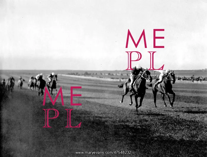 : Cesarewitch Handicap race, Newmarket : Cesarewitch Handicap race, Newmarket