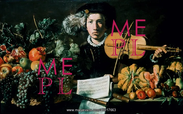 : Cesta di frutta e violin, after Caravaggio : Cesta di frutta e violin, after Caravaggio