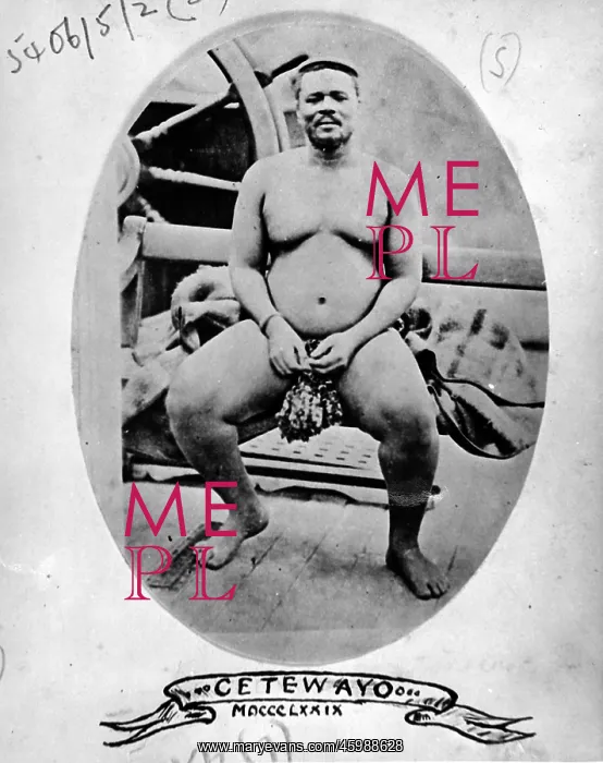 : Cetewayo (Cetshwayo), King of the Zulus, in captivity : Cetewayo (Cetshwayo), King of the Zulus, in captivity