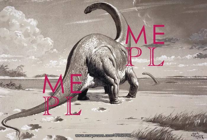 : Cetiosaurus : Cetiosaurus