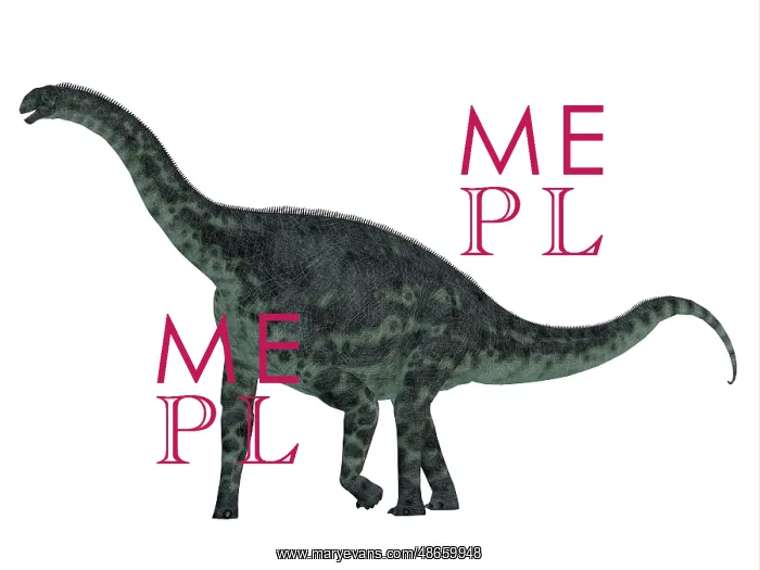 : Cetiosaurus dinosaur, side profile : Cetiosaurus dinosaur, side profile