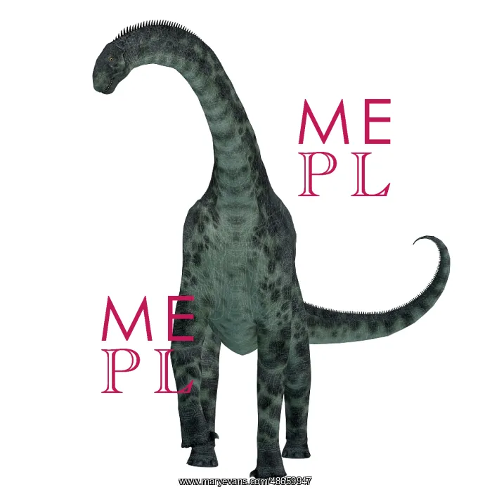 : Cetiosaurus dinosaur, front view : Cetiosaurus dinosaur, front view