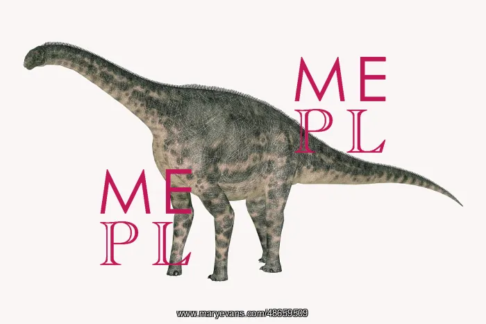 : Cetiosaurus dinosaur, side view on white background : Cetiosaurus dinosaur, side view on white background