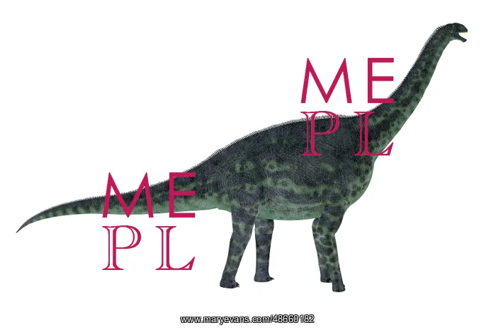 : Cetiosaurus dinosaur, side view on white background : Cetiosaurus dinosaur, side view on white background