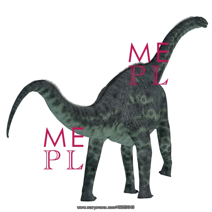 : Cetiosaurus dinosaur on white background : Cetiosaurus dinosaur on white background