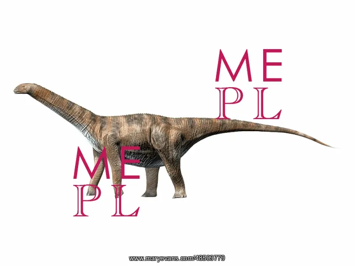: Cetiosaurus oxoniensis, Middle Jurassic of England : Cetiosaurus oxoniensis, Middle Jurassic of England