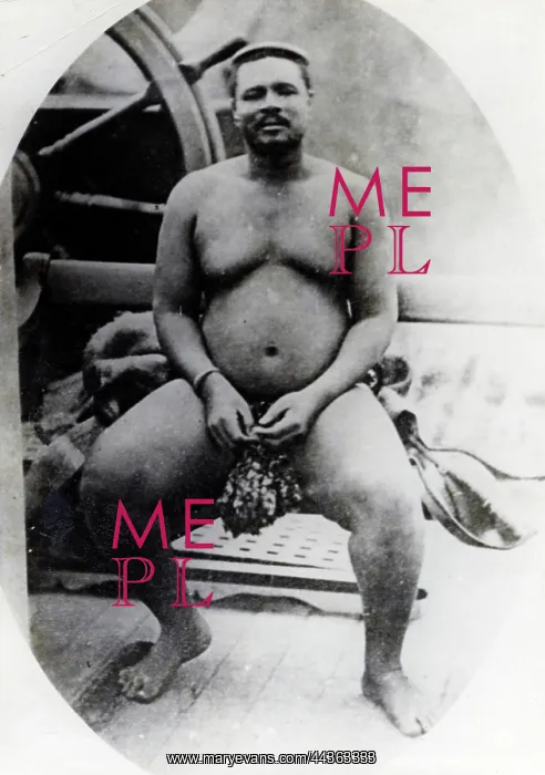 : Cetshwayo, Chief of the Zulus : Cetshwayo, Chief of the Zulus