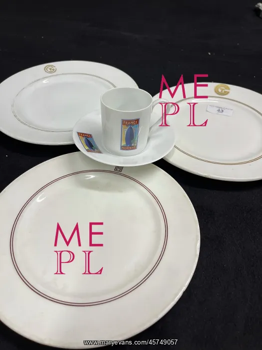 : CGT Limoges First Class dinner plates, cup and saucer : CGT Limoges First Class dinner plates, cup and saucer