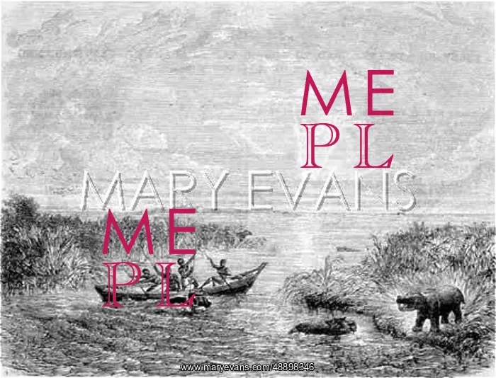 : CHAD / LAKE CHAD C1855 : CHAD / LAKE CHAD C1855