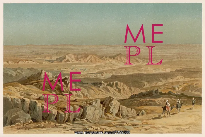 : CHAD / SAHARA DESERT 1891 : CHAD / SAHARA DESERT 1891