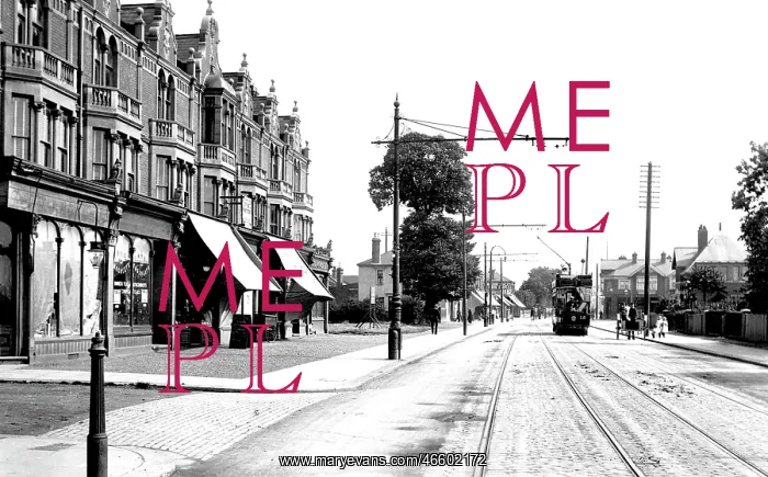  : Chadwell Heath, Blythswood Parade 1908