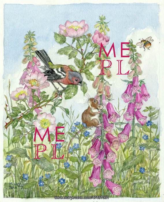  : Chaffinch field mouse, foxgloves and bee