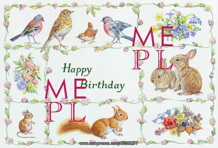 : Chaffinch, thrush, wren, bullfinch, mouse etc : Chaffinch, thrush, wren, bullfinch, mouse etc