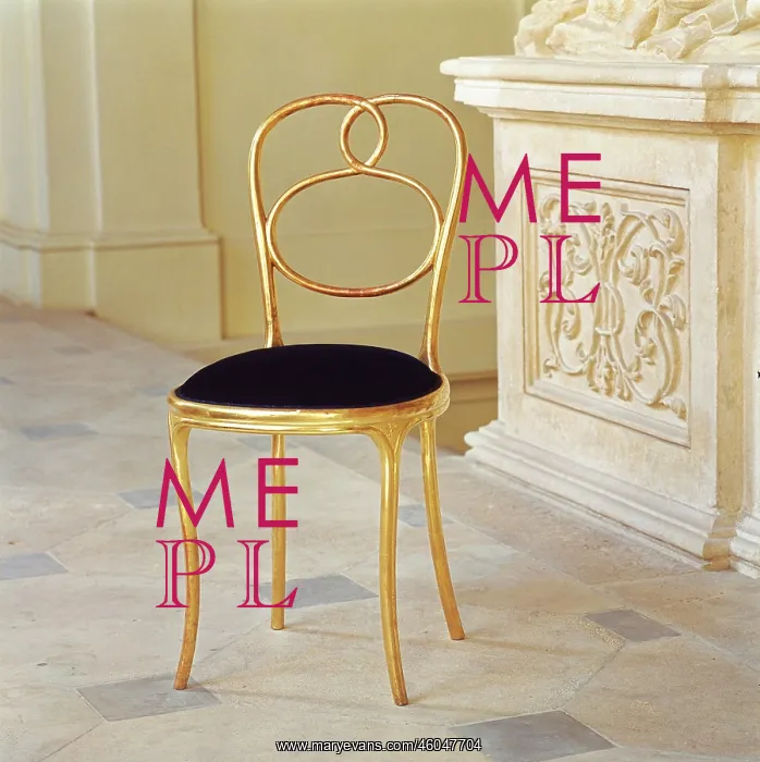 : Chair for Liechtenstein palace : Chair for Liechtenstein palace
