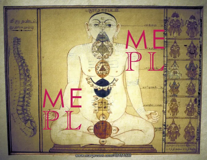 : Six Chakras representing the plexuses of the human : Six Chakras representing the plexuses of the human