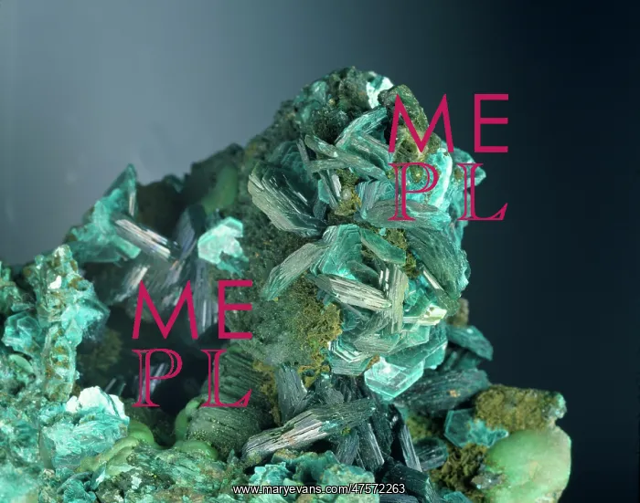 : Chalcophyllite : Chalcophyllite