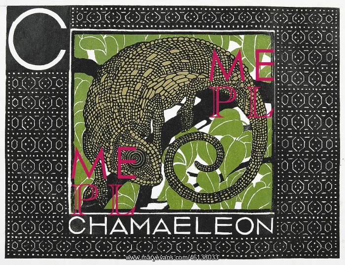 : Chamaeleon. Woodcut in Colour. From: : Chamaeleon. Woodcut in Colour. From: